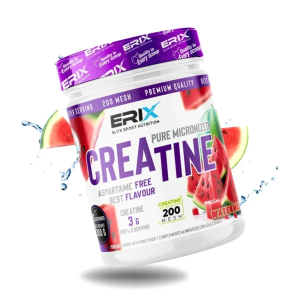 CREATINE MICRONIZADA SANDIA - Imagen 2