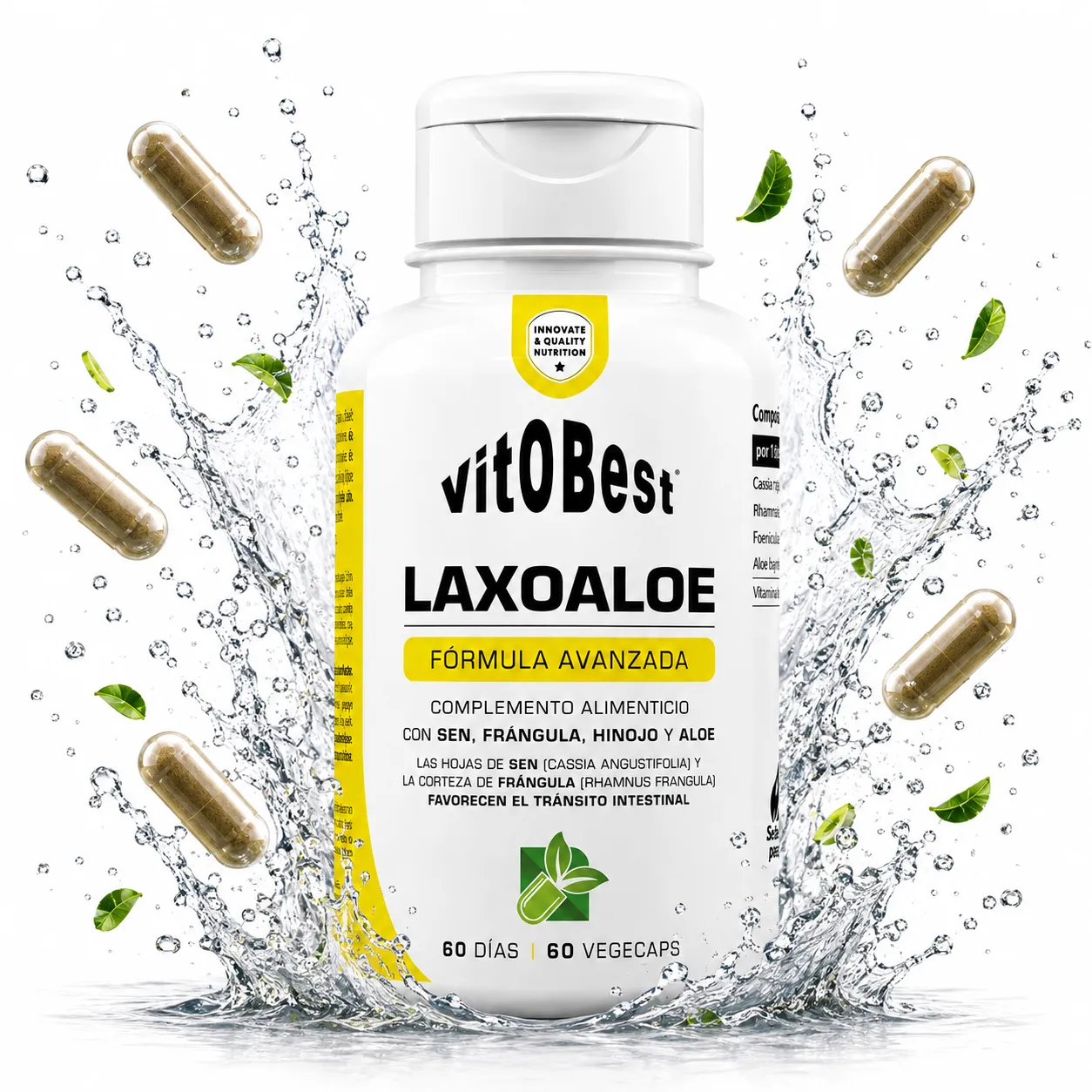 VITOBEST LAXOALOE 60 CAPS 1