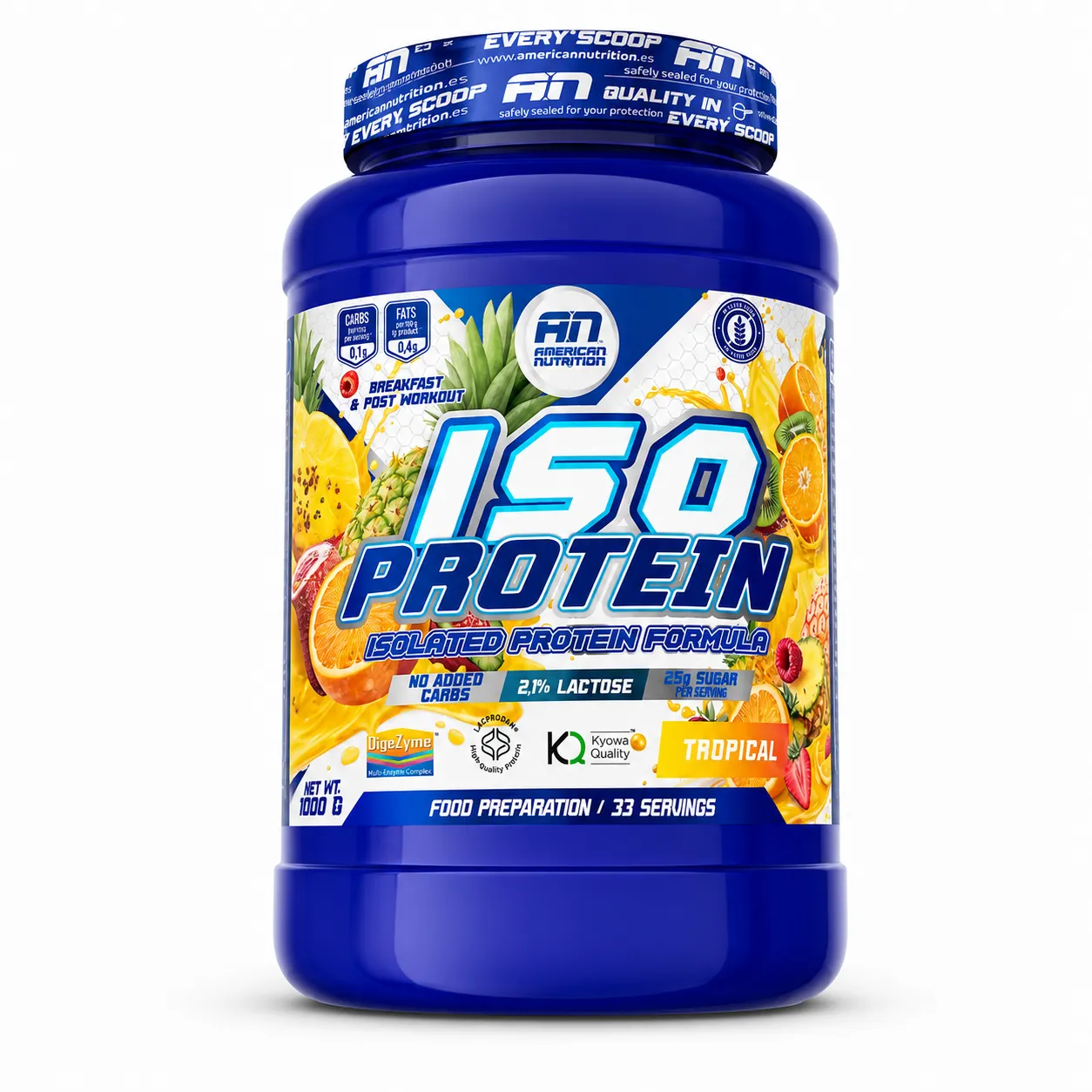 AMERICAN NUTRITION ISO PROTEIN 1 AMERICAN NUTRITION ISO PROTEIN