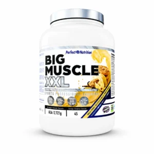Inicio 42 BIG MUSCLE XXL 6LB