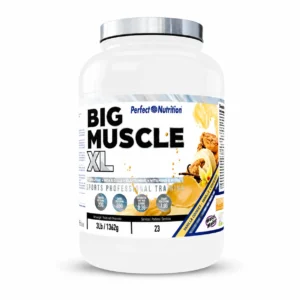 Inicio 44 BIG MUSCLE XL 3LB