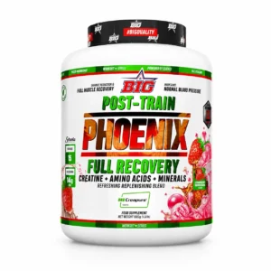 BIG POST-TRAIN PHOENIX 1.8 KG