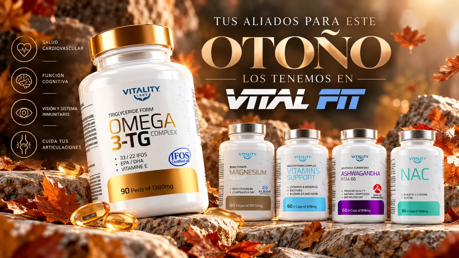 Inicio 120 Vitality vital fit (1)